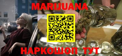 Альфа ПВП Ачхой-Мартан