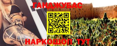 Альфа ПВП Ачхой-Мартан