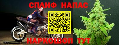 крисы Баксан