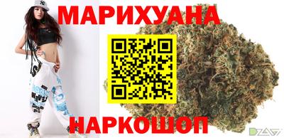 Альфа ПВП Ачхой-Мартан