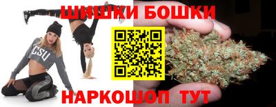 Альфа ПВП Ачхой-Мартан