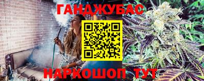 Альфа ПВП Ачхой-Мартан